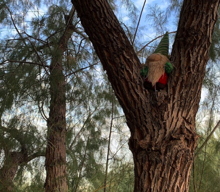 Sep 23 - Spotting a little tree gnome made us smile this morning. Sep 23 - Spotting a little tree gnome made us smile this morning.